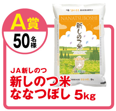 シャディ選べるカタログギフト「瑠璃」15800円コース